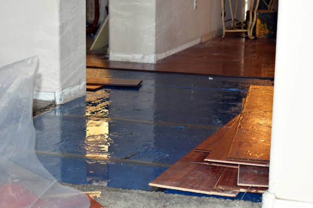 Professional Water Damage Restoration technician working in Willow Grove, TX